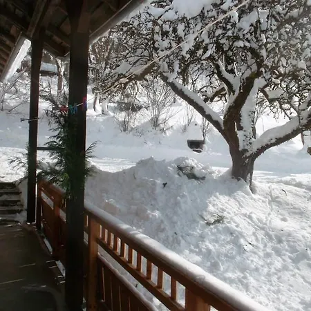 בקתה Les Jonquilles *